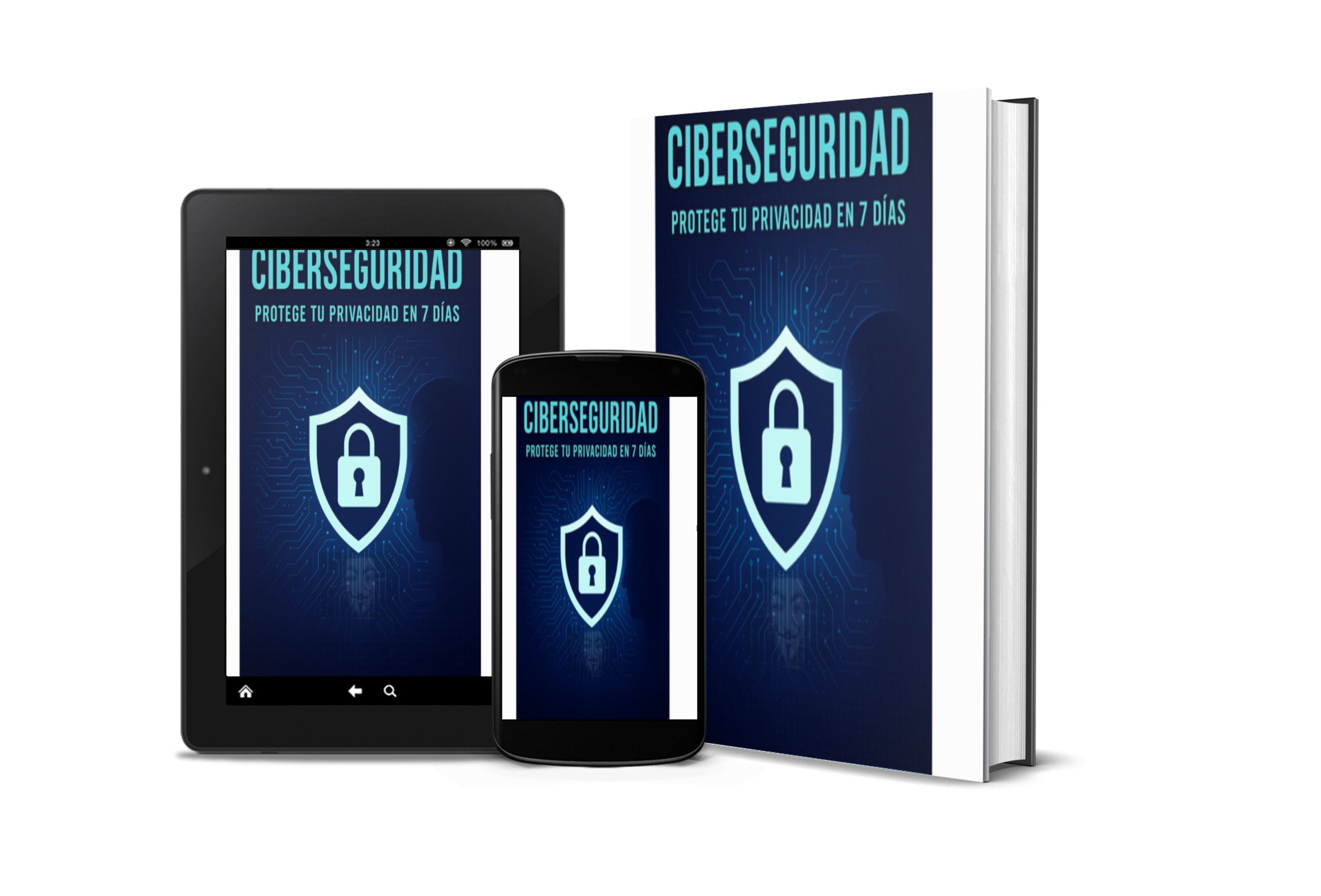 ciberseguridad: protege tu privacidad en 7 días